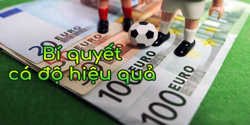 Kinh nghiệm soi kèo cược hiệu quả 